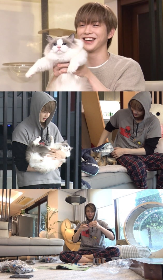 '나혼자산다' 강다니엘/ 사진=MBC 제공