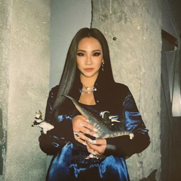 가수 씨엘 /사진 = 씨엘 인스타그램