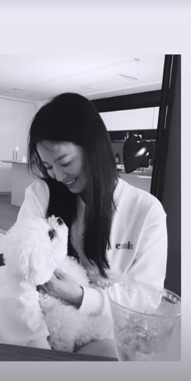 송혜교 인스타스토리./