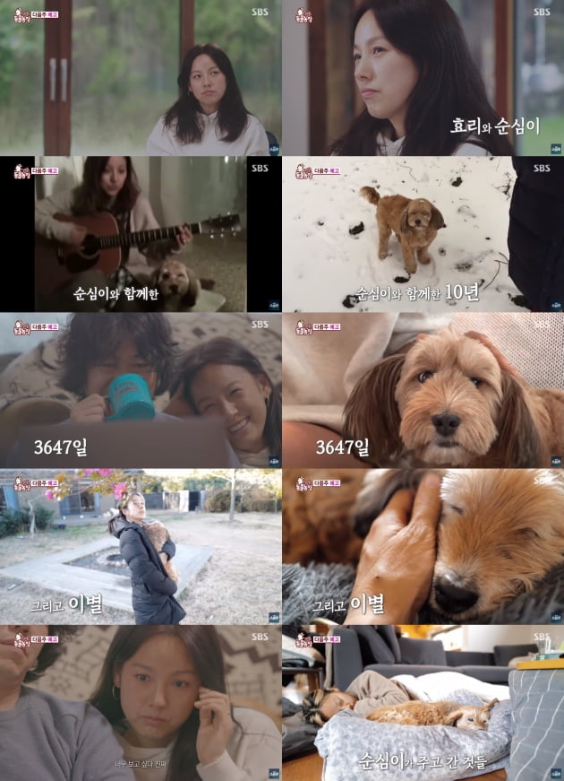 /사진 = '동물농장' 유튜브