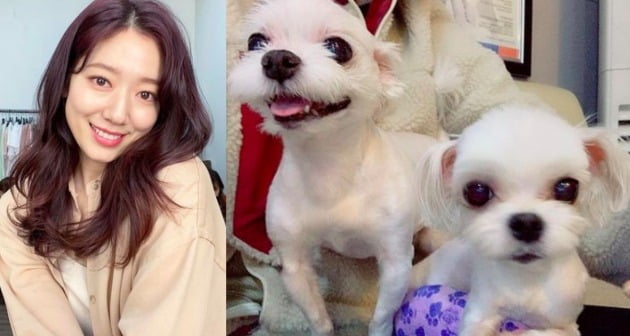 사진=박신혜 SNS