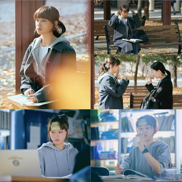 '로스쿨' / 사진 = JTBC 스튜디오, 스튜디오 피닉스, 공감동하우스 제공