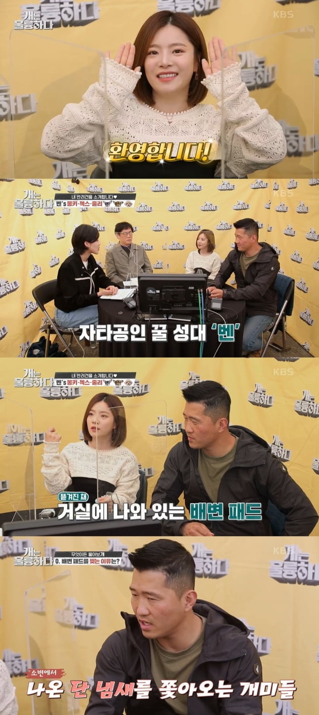 /사진=KBS2 '개는 훌륭하다' 방송화면