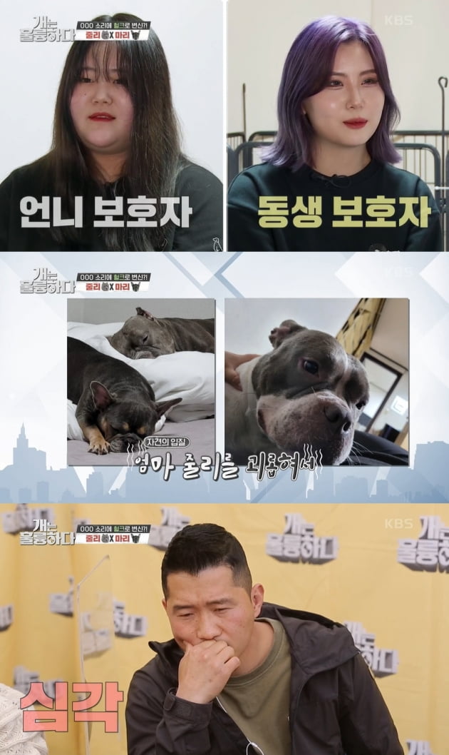 /사진=KBS2 '개는 훌륭하다' 방송화면