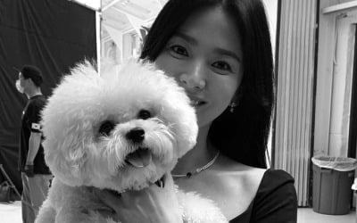 송혜교, 루비 덕분에 '찐 미소'…40대 중에 제일 청순해 [TEN★]
