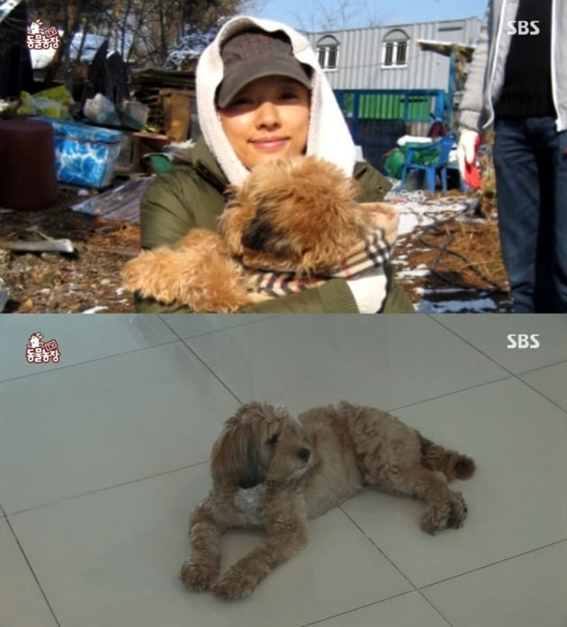 사진=SBS '동물농장' 방송 화면.