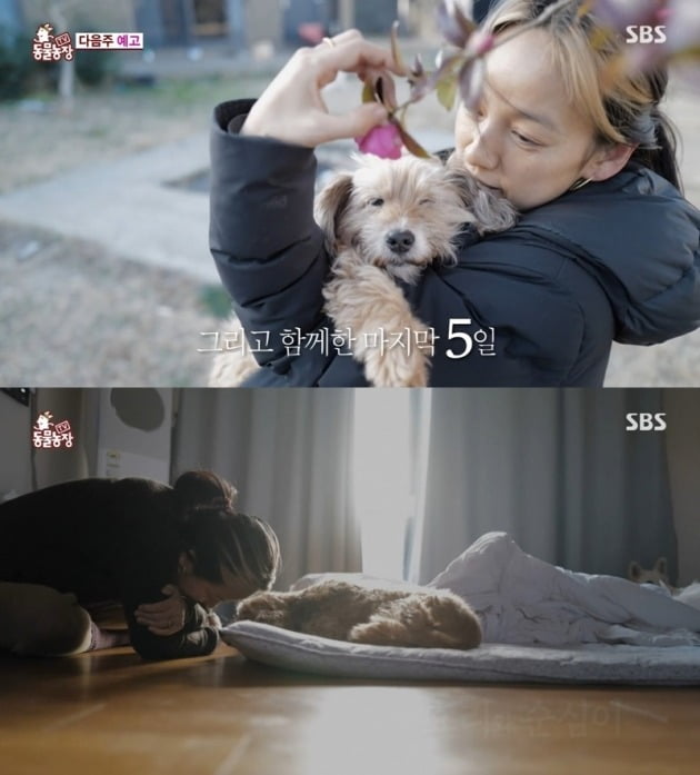 사진=SBS '동물농장' 방송 화면.