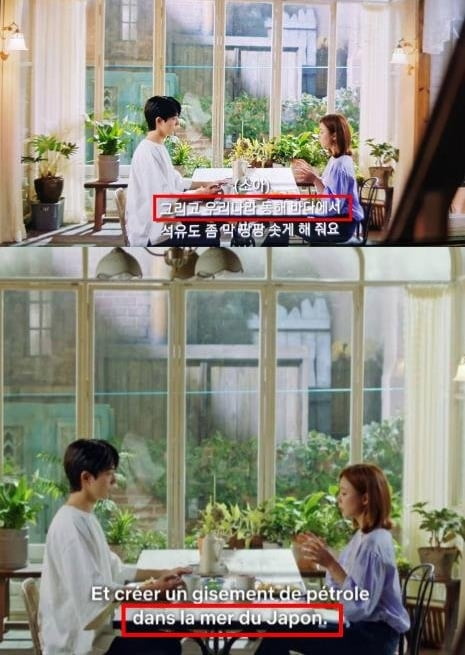 넷플릭스의 '하백의 신부' 자막 오류/ 사진=반크 캡처