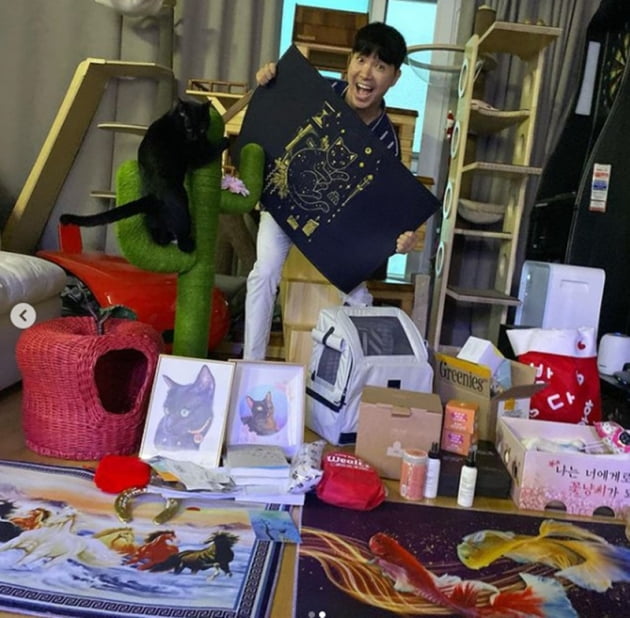 박수홍 / 사진 = 박수홍 반려묘 인스타그램