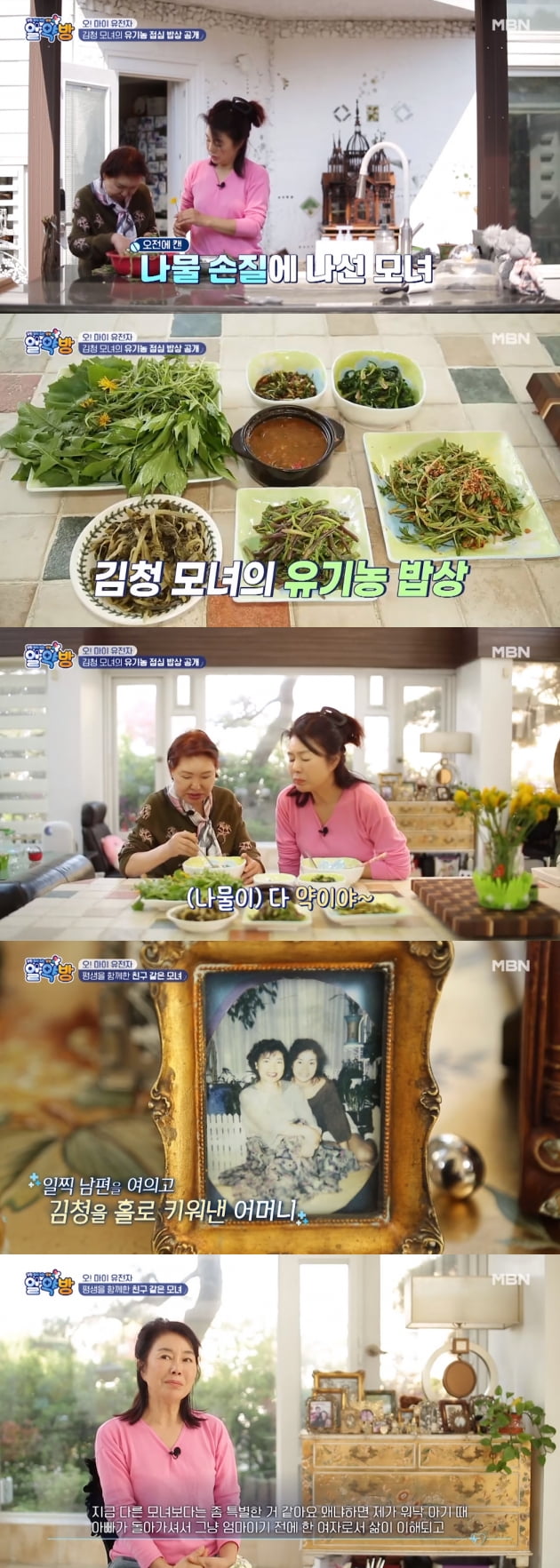 사진=MBN '알약방' 방송 캡처