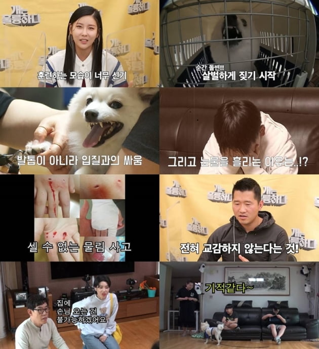 '개는 훌륭하다' / 사진 = KBS 제공
