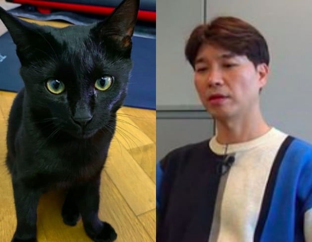 사진=다홍이 인스타그램
