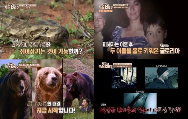 사진=스커버리 채널 코리아-스카이티브이 NQQ '지구에 무슨 129?’ 1회 방송 캡처