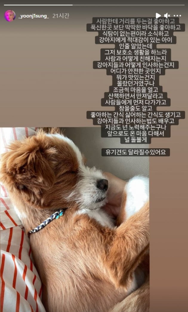윤지성 반려견 / 사진 = 윤지성 인스타그램