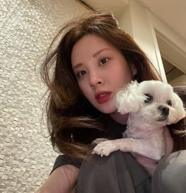 /사진=서현 인스타그램