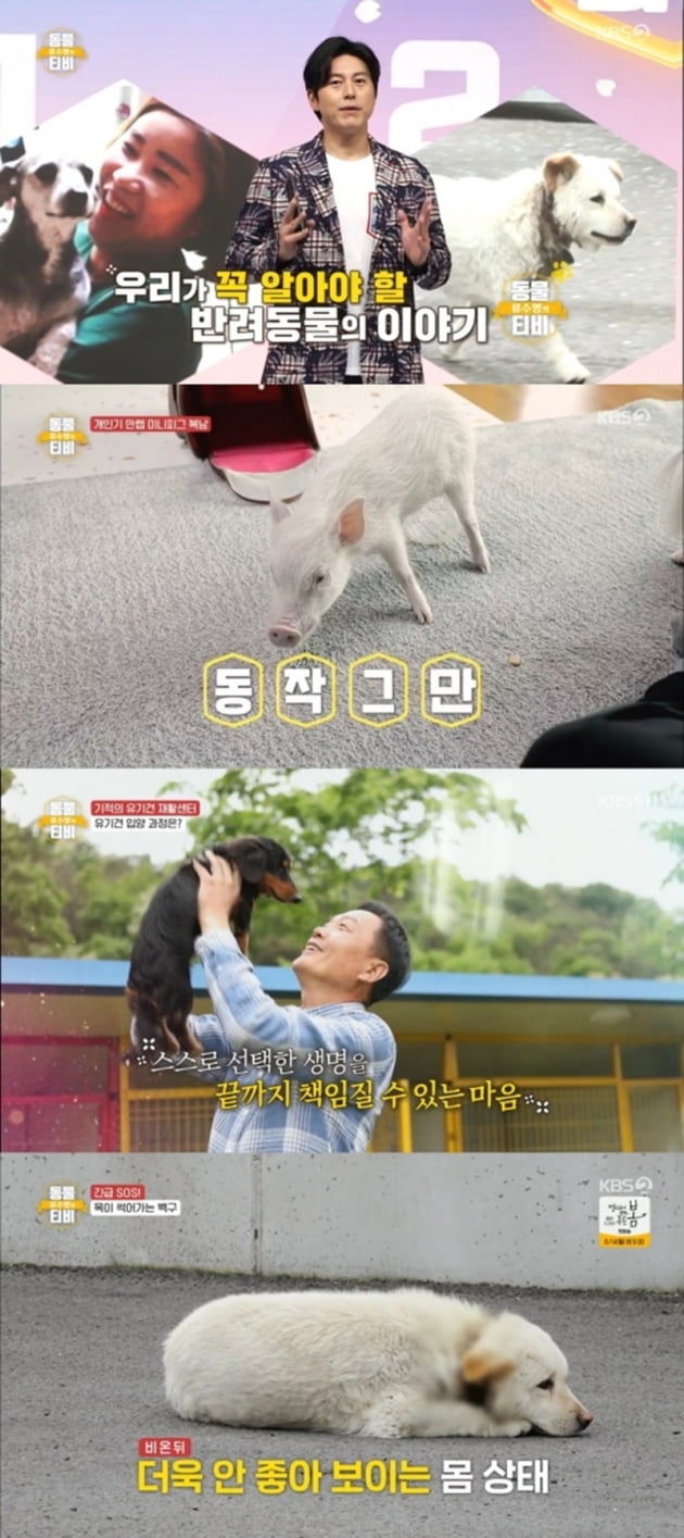 '류수영의 동물티비' / 사진 = KBS 제공