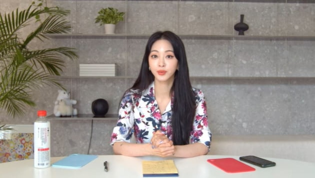 사진=한예슬 유튜브 캡처