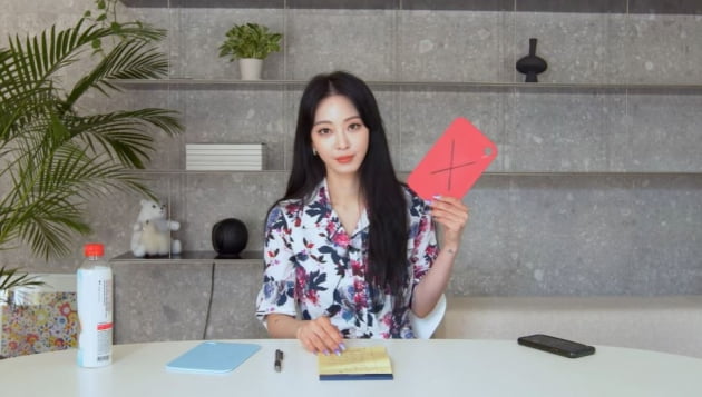 사진=한예슬 유튜브 캡처