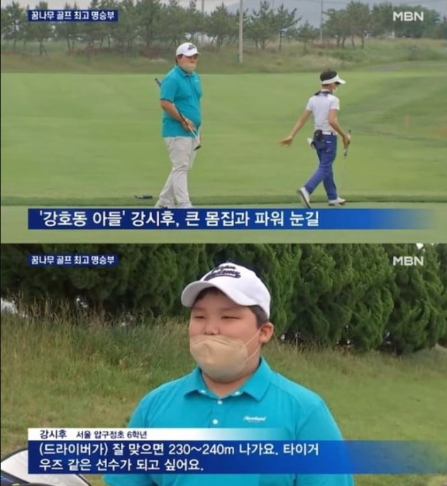 /사진=MBN '종합뉴스' 방송화면
