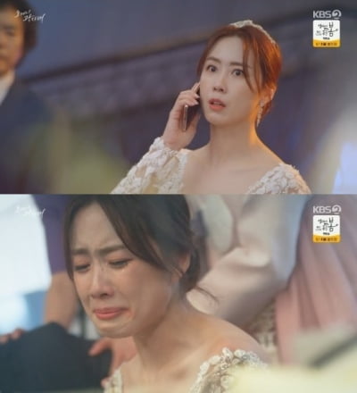 '오케이 광자매' 홍은희, 사기결혼 뒤 행방불명…최대철·하재숙 눈물의 포옹 [종합]