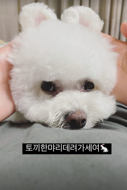 소녀시대 수영, 토끼같은 뎅뎅이 귀엽고 사랑스러워~[TEN★]