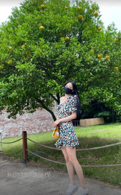 한예슬, ♥남친과 제주도 여행...매일매일 업데이트중[TEN★]
