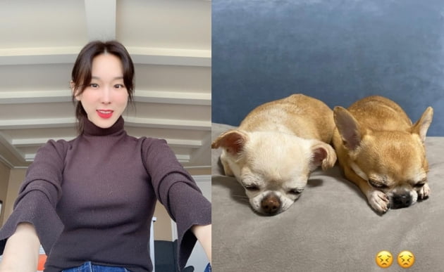 가수 이지혜(왼쪽)와 반려견/ 사진=인스타그램