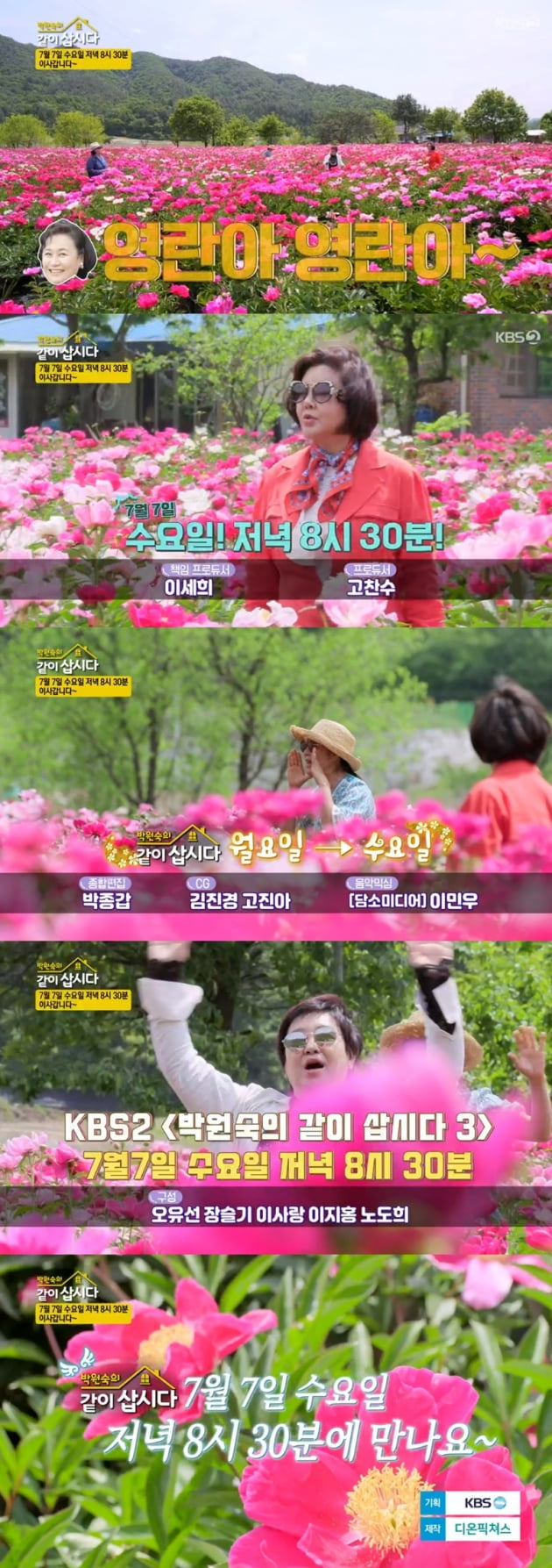 '박원숙의 같이 삽시다3' / 사진 = KBS 2TV 영상 캡처