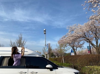 박보영, 군살없는 완벽몸매... 저 사이로 나온다고[TEN★]
