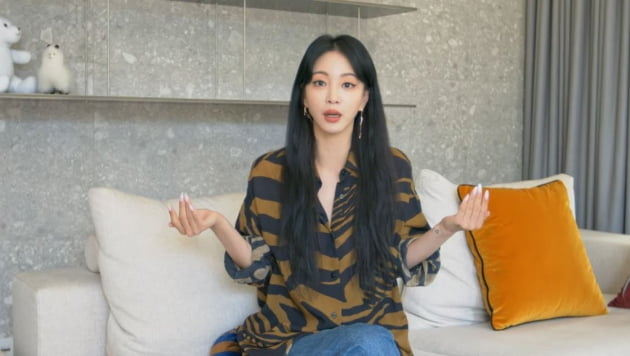 사진=한예슬 유튜브 캡처