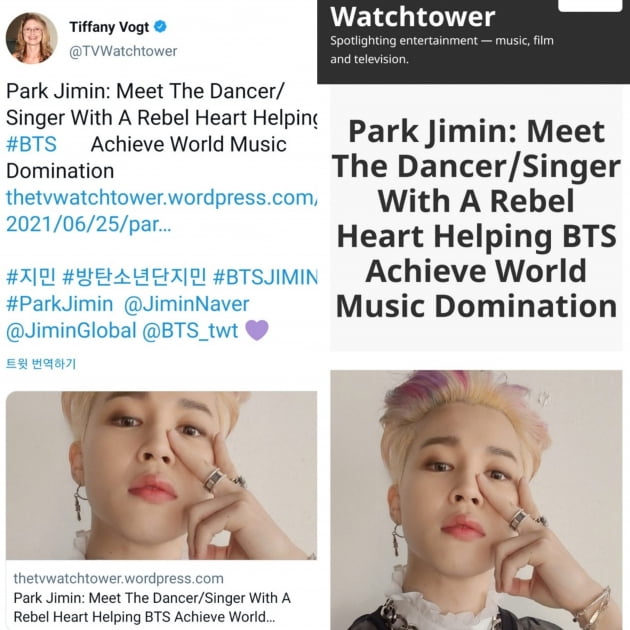 '방탄소년단 지민을 향한 美기자 극찬, "BTS의 경이로운 자산"
