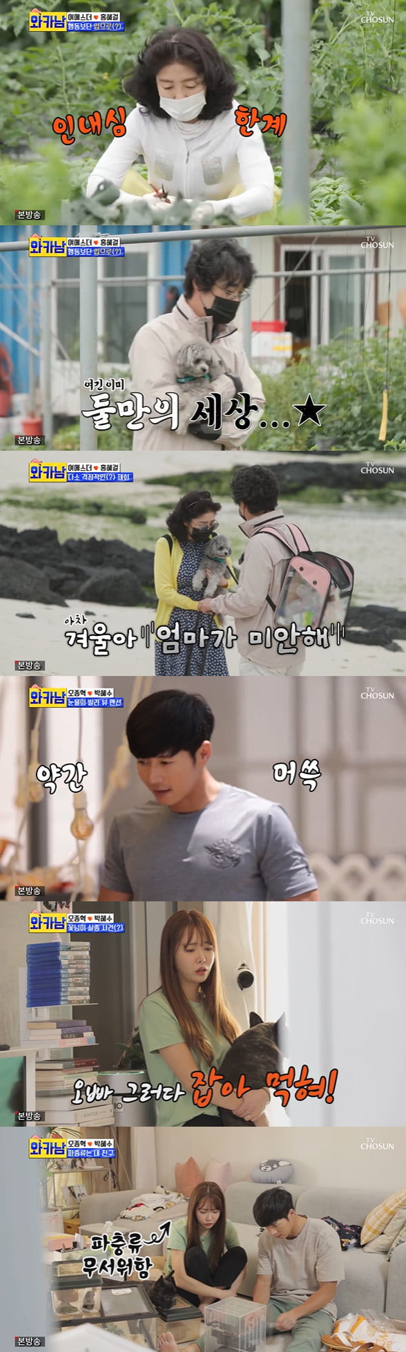 사진=TV조선 '와카남' 방송 캡처