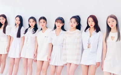 [공식] 라잇썸 측 "스태프 코로나 확진, 멤버 전원 검사+자가격리"