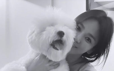 송혜교, 누가 40대로 봐? 강아지 안아도 가느다란 팔뚝 [TEN★]