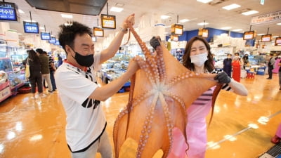 JTBC '할명수' 바다의 왕자 박명수, 8kg 거대 문어로 해신탕 요리 도오전~~