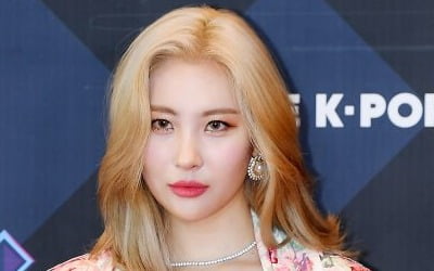 [단독] 선미, 8월 컴백…여름엔 역시 '선미팝'