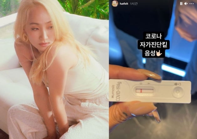 /사진=핫펠트 인스타그램