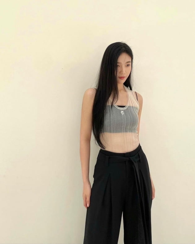 레드벨벳 조이, 전체 시스루 민소매로 속시원한 패션 [TEN★]