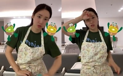 '워킹맘' 최희, 행주 패대기…집안일 힘들었나 [TEN★]