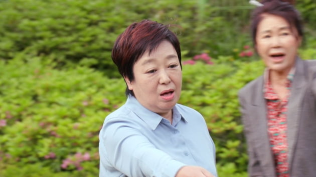 '같이삽시다' 스틸컷/ 사진=KBS2 제공