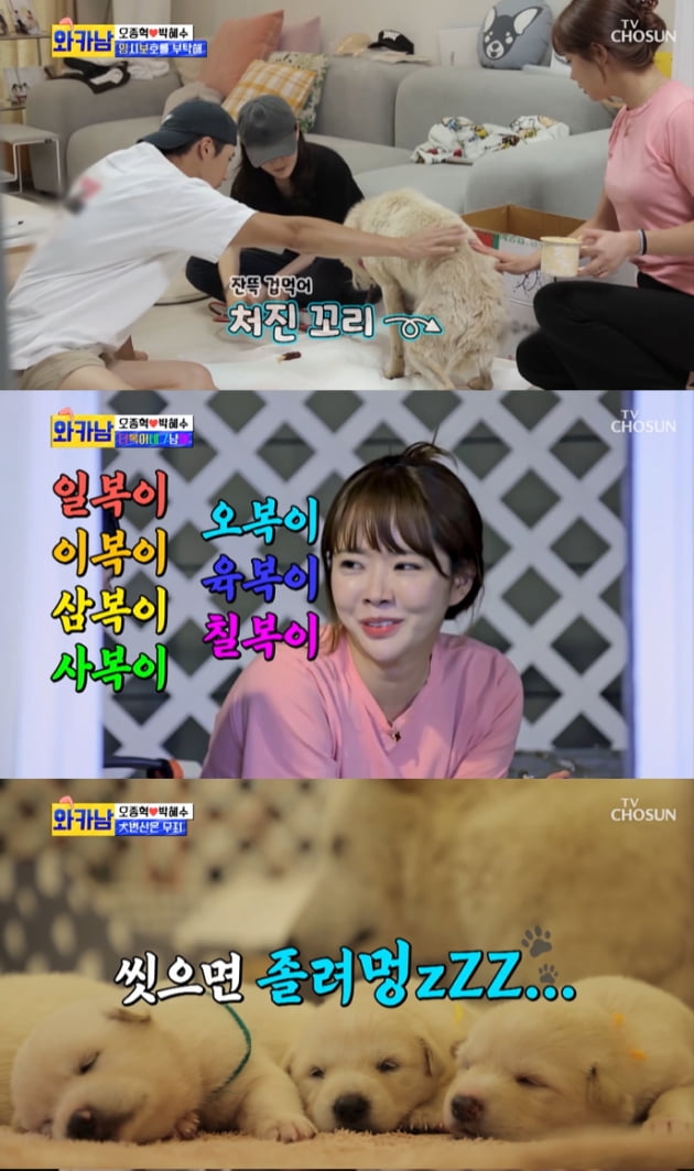 사진=TV조선 '와카남' 방송 캡처