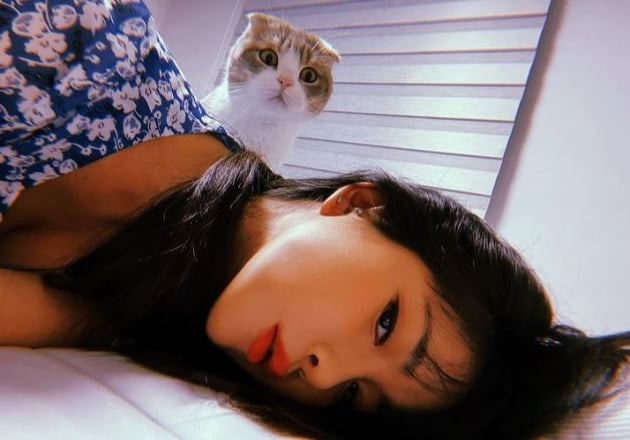 /사진=조현영 인스타그램