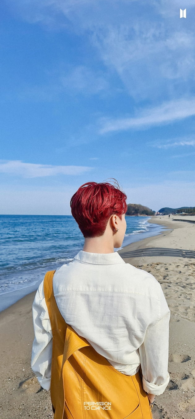 방탄소년단 지민, 백허그 유발하는 뒤태까지…아미 홀린 '인어왕자'