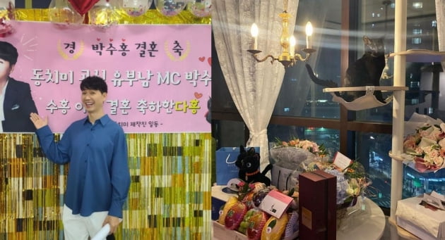 /사진=검은고양이 다홍 인스타그램