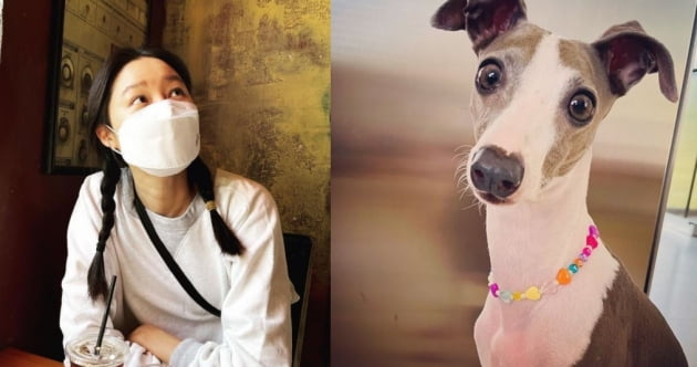 /사진=공효진 인스타그램