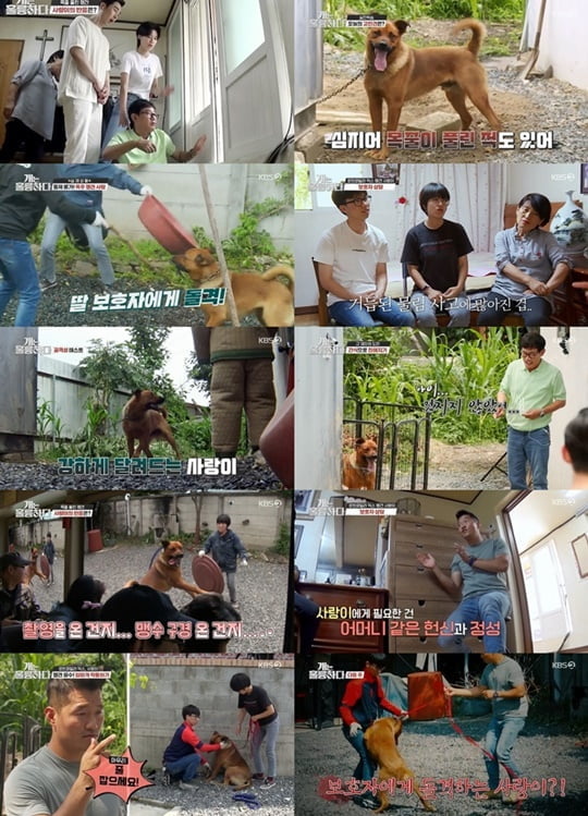 개훌륭 (사진=방송캡처)