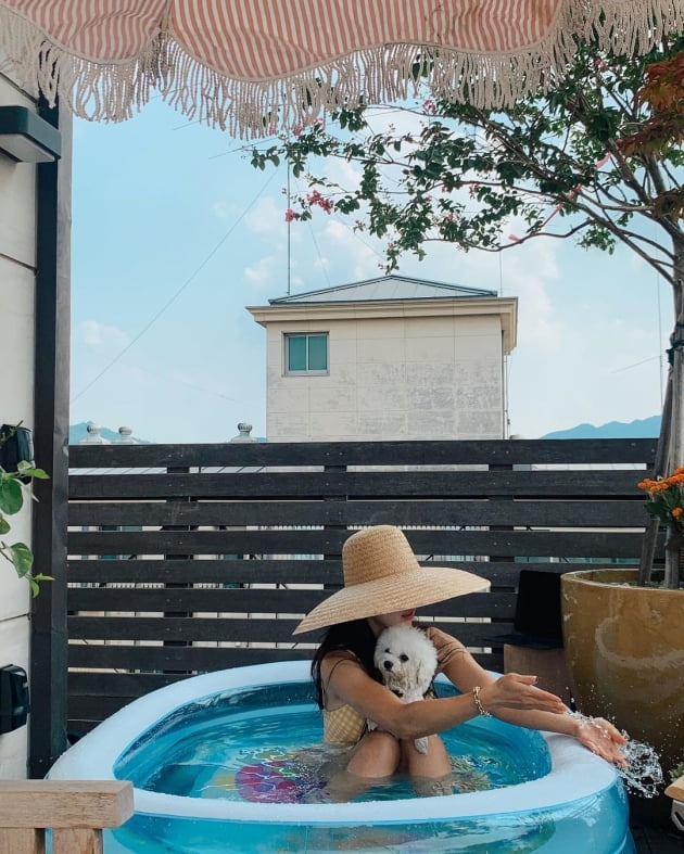 '미국 교포♥' 기은세, 집 루프탑에 차린 풀장…호캉스 버금가는 "홈캉스" [TEN★]