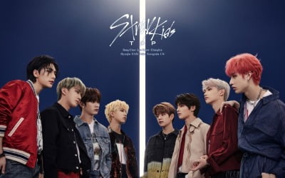 [공식] 스트레이 키즈, 8월 컴백→10월 日 새 앨범 발매 "하반기 맹활약"