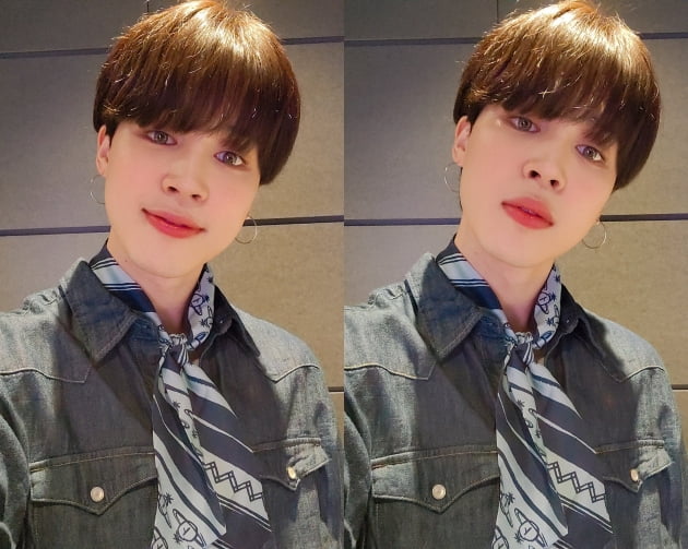'빌보드 핫100 9번째 1위' 방탄소년단 지민...日유명인 랭킹 트위플1위