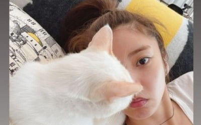 손담비, 반려묘와 꽁냥꽁냥…5kg 감량 후 더욱 선명해진 이목구비 [TEN★]